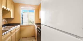 Camelot Apartments Gallery 13