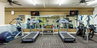 UNIVERSITY APARTMENTS Gallery 6