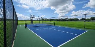 Coral Palms at Oakleaf Gallery 20