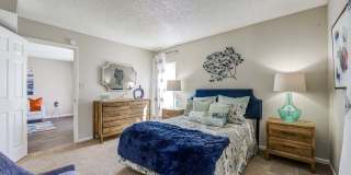 Renaissance Gallery 14