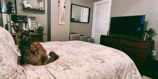 Gorgeous 2-Bed Townhome in Pennsport! Available NOW! Gallery 10