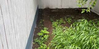 Newly Updated Single Family Home Gallery 31