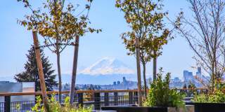 JG Whittier Gallery 45