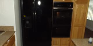 Swimming pool and spa Gallery 11