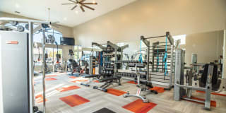 Axio 8400 Gallery 24