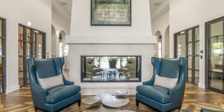 Lago Gallery 5