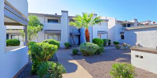 The Coronado (Palms on Monte Vista) Gallery 19