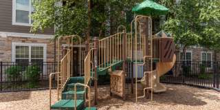 Red Knot at Edinburgh Gallery 45