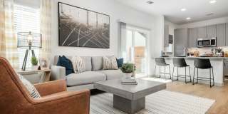 Collection at Gruene Gallery 20