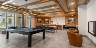 Citron at the Packing District Gallery 51