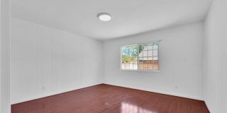 6656 Cleomoore Gallery 19