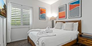 1502 Amelia Way Gallery 32