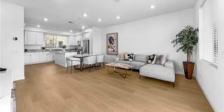 249 Steely Gallery 6