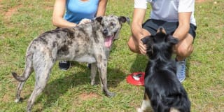 The Keswick Gallery 53