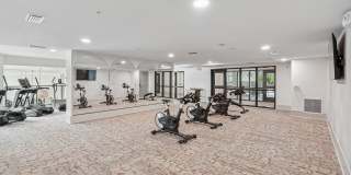 Solay Cape Coral Apartments Gallery 14