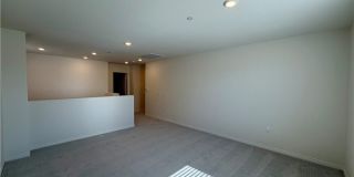 9643 Babaco Gallery 9