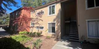 Stunning Remodeled Treat Boulevard unit! A must see 1-bedroom unit with private parking and pool! Gallery 1