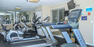 Lakeview Apartments Gallery 6