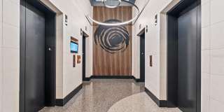 155 S COURT Avenue Gallery 6