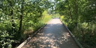 5915 N Artesian Avenue unit: Gdn Gallery 13