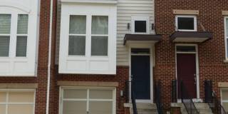 42638 NEW DAWN Terrace Gallery 1