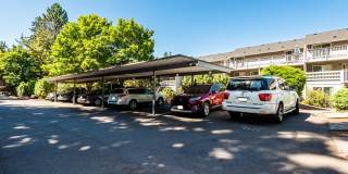 Hallmark Apartments Gallery 20