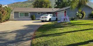 240 E Shady Grove ROOM 240 E Shady Grove ROOM Gallery 1