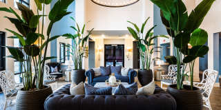 Novus Westshore Gallery 24