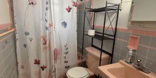 Appealing 3-Bedroom Home in Upper St. Clair - Available in August! Gallery 11