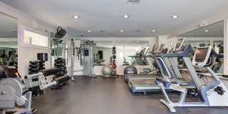 Tuscarora Creek Gallery 7