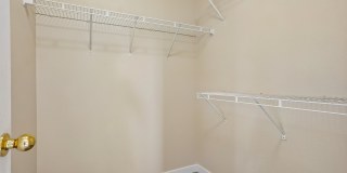 Pines at Castle Rock Gallery 23