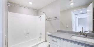 THE MODERN CACTUS Gallery 37