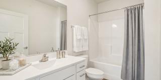 Cedar Green Gallery 22