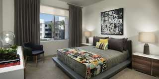 Nexa Gallery 10