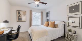 Elle Collection Gallery 15