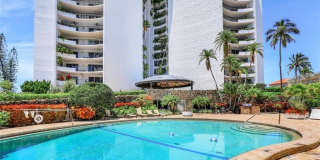 3951 Gulf Shore Blvd N unit: 1203 Gallery 20