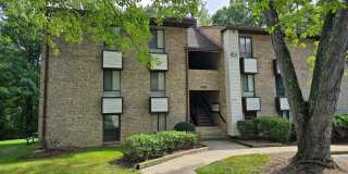 11617 STONEVIEW SQ #1B Gallery 1