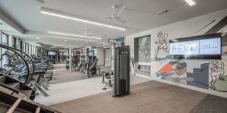 Revl Med Center Gallery 30