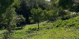 3200 La Rotonda Gallery 35