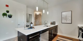 TGM Northshore Gallery 40