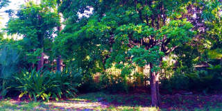 382 Ellamar Road Gallery 37