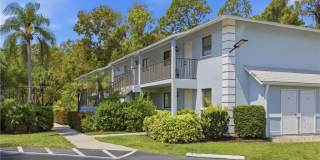 28161 Pine Haven Way Gallery 1