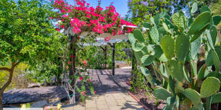 An Oasis of Calm In the Center of Riverside, CA Gallery 54