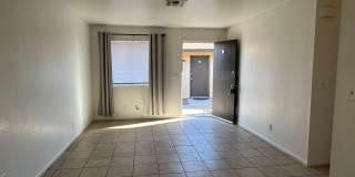 3185 Gallery 9