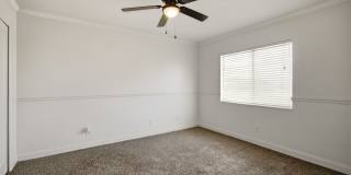 Gorgeous 4-Bedroom Single-Family Home with Pool in Summerfield Gallery 12