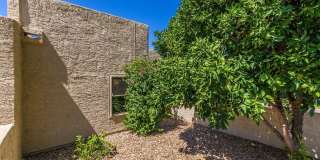 7848 E BONITA Drive Gallery 2