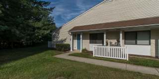 Fox Chase Gallery 5