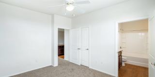 Sonata Gallery 5