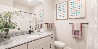 Swiftwater Gallery 15