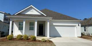 Brand new construction home in the desirable Brunswick Forest subdivision Gallery 1